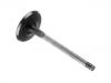 Exhaust Valve:074 109 611