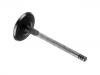 Exhaust Valve:053 109 611