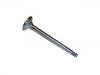 Soupape d'échappement Exhaust Valve:048 109 611 B