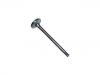 Exhaust Valve:036 109 611 L