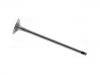 Exhaust Valve:022 109 611 P