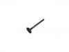 Exhaust Valve:13715-71010