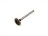 Valvula de escape Exhaust Valve:419 292