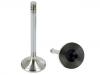 Valvula de escape Exhaust Valve:11 34 1 710 788