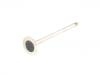 Valvula de escape Exhaust Valve:11 34 7 598 273