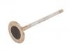 Soupape d'échappement Exhaust Valve:948 105 312 00