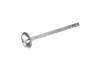 Valvula de escape Exhaust Valve:12791961