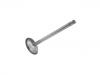 Soupape d'échappement Exhaust Valve:12550909